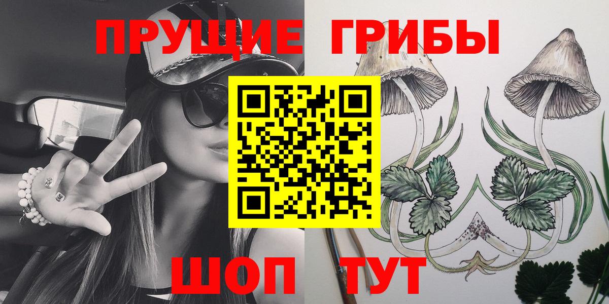 Псилоцибиновые грибы GOLDEN TEACHER  Вход с VPN  Галлюциногенные грибы Magic Shrooms  цены   Нальчик 